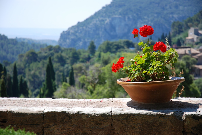 In the garden of the monastery in Valldemossa