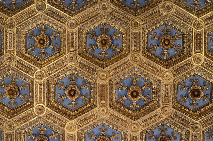 Ceiling at the Field Florence Town Hall