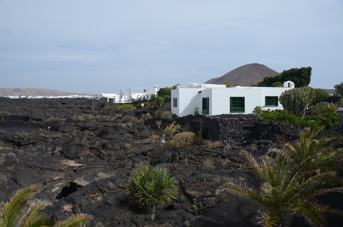 Fundacion Cesar Manrique