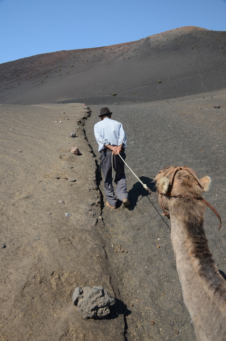 Traveling on camelback
