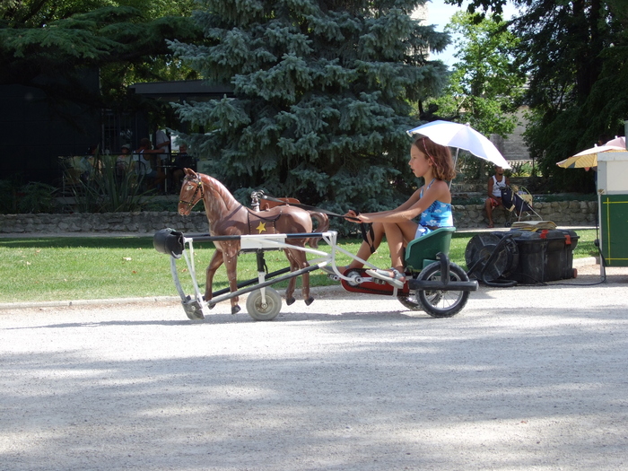 Mechanical Horses in Avignon
