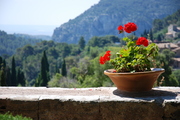 In the garden of the monastery in Valldemossa