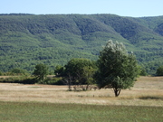 Landscape of the Luberon Region IV